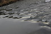 pereje na rieke Nitra